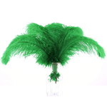 plume autruche souple belle vert