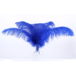 plume autruche souple bleu royal jolie