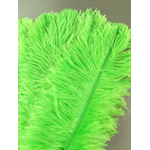plume autruche souple vert fluo de qualité
