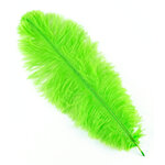 plume autruche souple vert fluo