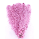 plume autruche souple violine de qualité