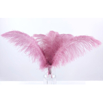 plume autruche souple violine legere