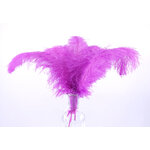 plume autruche souple fushia