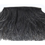 galon autruche noir de qualite plume
