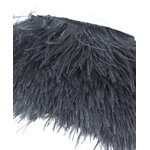 frange autruche noir plume