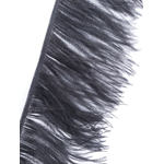 galon autruche noir plume