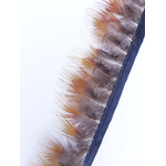 plume frange faisan jaune
