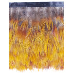 plume frange faisan dore
