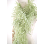 boa autruche volume vert celadon de qualite