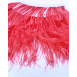galon autruche rouge plume