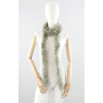 bande plume duvet lichen