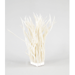 frange plume biot d'oie ecru