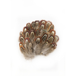 plume de faisan commun legere naturel