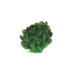 plume de faisan commun vert belle