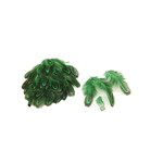 plume de faisan commun de qualite vert