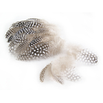 plume de pintade naturel de qualite
