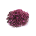 plume de pintade hot pink de qualite