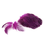 plume de pintade fushia