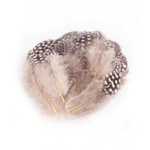 plume de pintade legere rose poudre