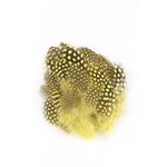 plume de pintade jaune jolie