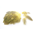 plume de pintade jaune belle