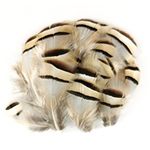 plume de perdrix naturel de qualite