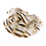 plume de perdri naturel