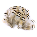 plume de perdrix naturel