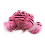 plume de perdrix rose de qualite