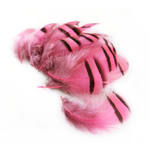 plume de perdri rose