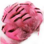 plume de perdrix rose