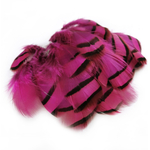 plume de perdri rose fushia