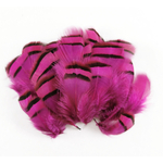 plume de perdrix rose fushia