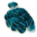 plume de perdri petrole