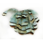 plume de perdri bleu lagon