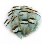plume de perdrix bleu lagon