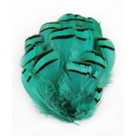 plume de perdri vert emeraude