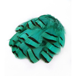 plume de perdrix vert emeraude