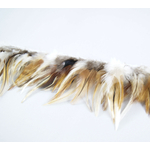 Galon plume croupe de coq mixe naturel