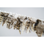 Galon plume croupe de coq naturel gris