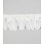 galon plume ronde de poule ecru