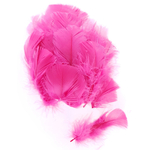 plume duveteuse dinde petite coquille rose