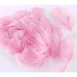 plume duveteuse dinde petite coquille rose buvard