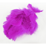 plume duveteuse dinde petite coquille rose fushia