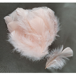 plume duveteuse dinde petite coquille rose poudre