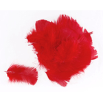 plume duveteuse dinde petite coquille rouge