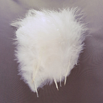 plume dinde marabout ecru