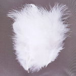 plume petite dinde marabout blanc