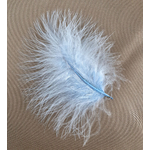 plume dinde marabout bleu porcelaine