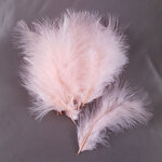 plume dinde marabout poudre